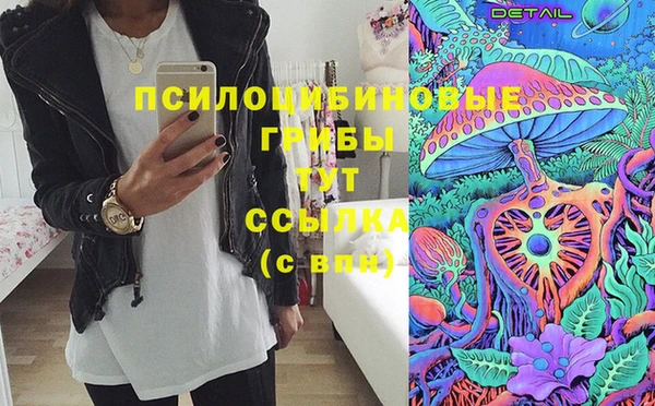 МДПВ Бугульма
