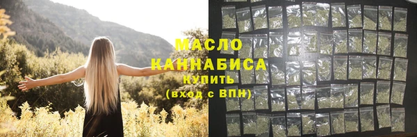 гашик Бородино