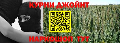 гашик Кулебаки