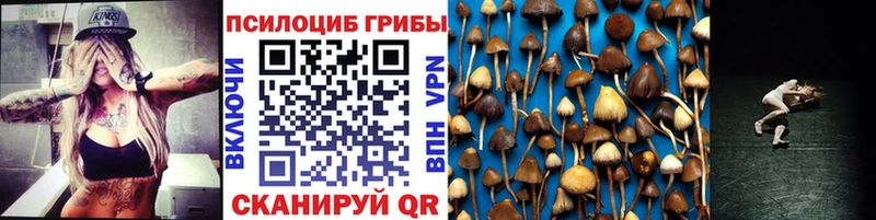 Псилоцибиновые грибы ЛСД  где можно купить наркотик  Зима 