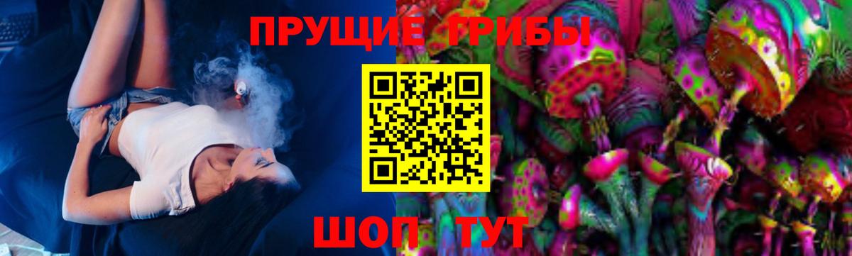 Зима  Галлюциногенные грибы Psilocybe  Вход с VPN 