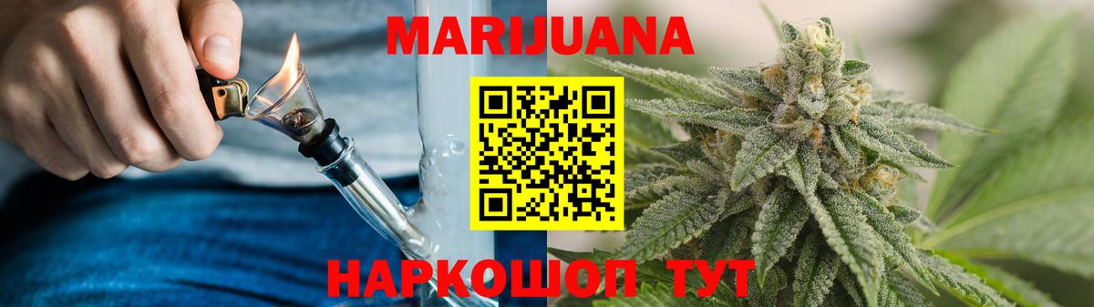 Конопля индика  МАРИХУАНА планчик  Бошки Шишки White Widow  Зима  Вход с VPN 